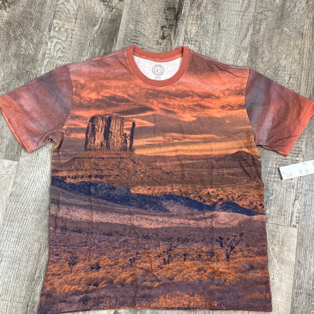 Urban Outfitters Desert Sky Graphic Tee - Picture 4 of 7